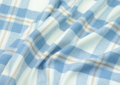 a close up of a blue and white plaid fabric